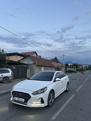 elantra 2017: Hyundai Sonata: 2017 г., 2 л, Автомат, Газ, Седан — 1