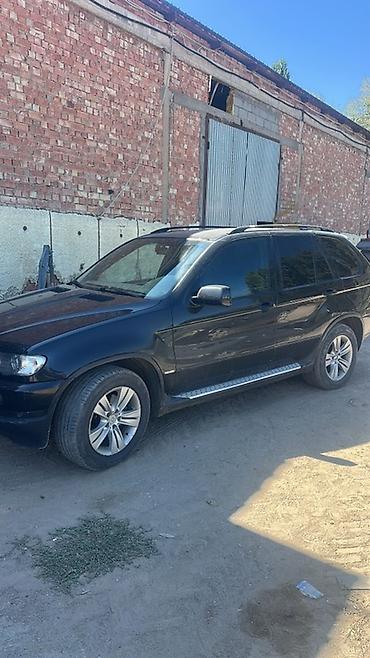 насадки на глушитель бмв: BMW X5: 2003 г., 3 л, Автомат, Дизель, Кроссовер — 2