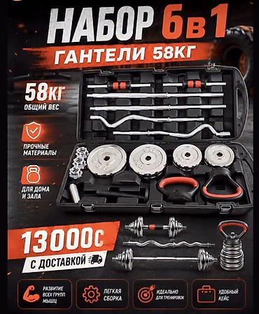 barbell: Набор штанги и гантелей 6-в-1 в чемодане на колесах, общий вес 58 кг — 6
