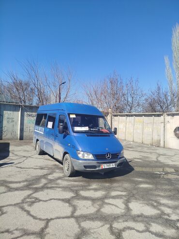 Mercedes-Benz: Mercedes-Benz Спринтер: 2004 г., 2.9 л, Механика, Дизель, Бус