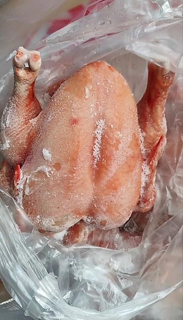 продам яйца: Домашняя курица-бройлер, тушка целая. Описание: - Курица белая — 4