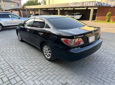 lexus es300 2002: Lexus ES: 2003 г., 3 л, Типтроник, Бензин, Седан