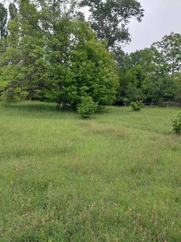 Torpaq sahələrinin satışı: 75 sot, Tikinti, Maklerlər narahat etməsin, Kupça (Çıxarış) -da lalafo.az — 11 Torpaq sahələrinin satışı: 75 sot, Tikinti, Maklerlər narahat etməsin, Kupça (Çıxarış) — 11