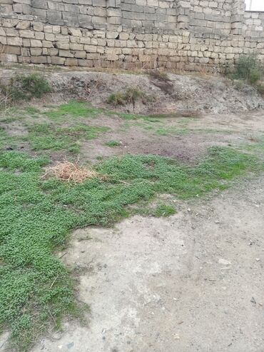 xacmazda satilan torpaqlar: 2 sot