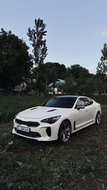work kiwami: Kia Stinger: 2017 г., 3.3 л, Автомат, Бензин, Лифтбек — 8