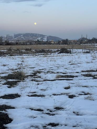 Продажа участков: 5 соток, Для строительства, Красная книга, Договор купли-продажи — 2