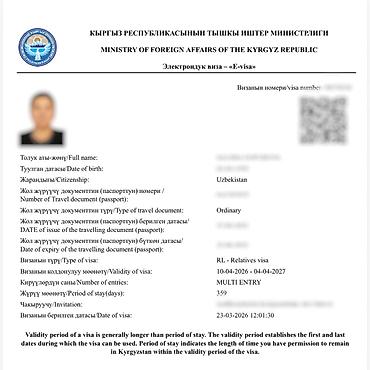visa: Визы в Кыргызстан, США, Японию и Шенген. Помогаю с оформлением виз в — 6