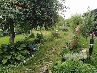 3: ✨🏡 Продается участок с небольшим домом в Бишкеке (жилмассив Маевка) — 6