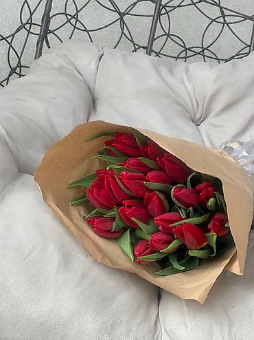 Организация мероприятий: Открываем бронирование 2026 г.Тюльпаны оптом самые яркие,сочные цвета — 3