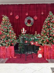 Foto və video çəkiliş: Foto çəkiliş | Studiya | Tədbirlərin çəkilişi, Love story, Toy fotosesiyası — 6