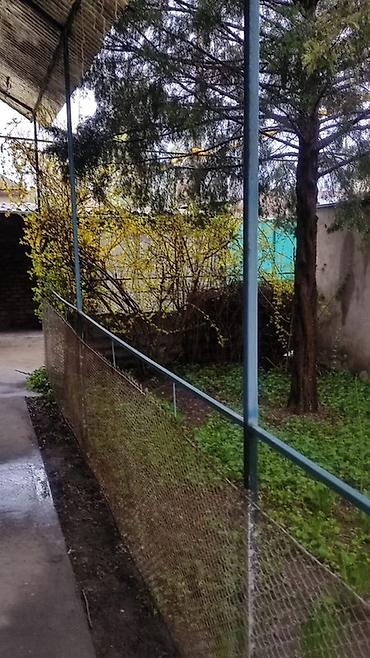 мансард: ✅Продается большой благоустроенный дом с мансардой в 📍с — 7