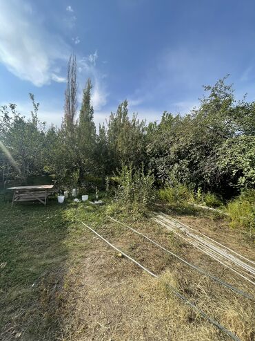 чуйдон арзан баада участок сатып аламын: 4 соток, Для строительства, Договор купли-продажи, Красная книга, Тех паспорт
