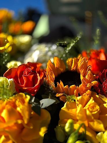 qartenziya gulu: Salam. Mağazanızın, butikinizin (Geyim, Gül, Ətir, Kosmetika və s.) — 1