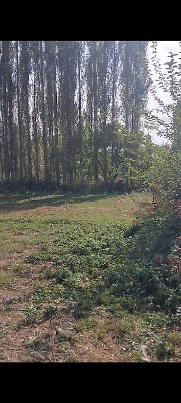 Продажа участков: 30 соток — 3