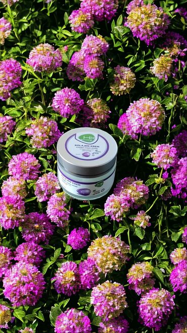 goji berry kremi: HK Remedy Dermatolojik yüz kremi