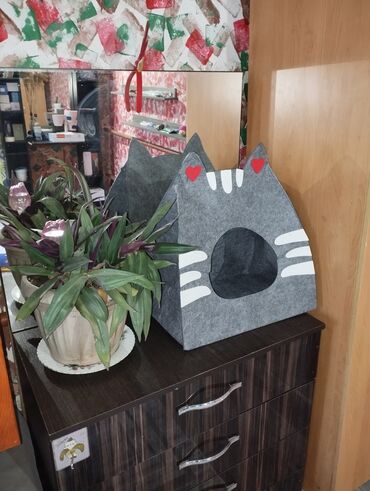 Продажа кошек: Гостиница для кошечек и маленьких собачек до 5 кг Предлагаем — 8