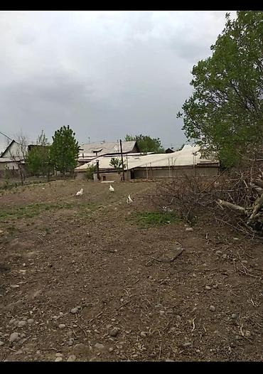 Продажа коттеджей и домов: Продаётся жилой дом 80м² с участком 12 соток. 3 фазы Что внутри: - — 7