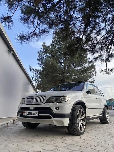 bye e5: BMW X5: 2005 г., 4.8 л, Кроссовер — 1