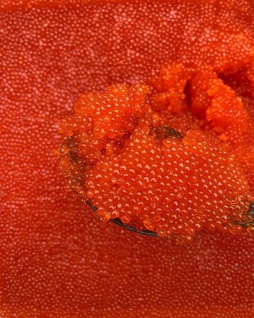 яйцо перепелиные: Муздатылган