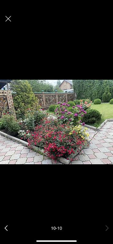 Долгосрочная аренда домов: 600 м², 7 комнат — 10