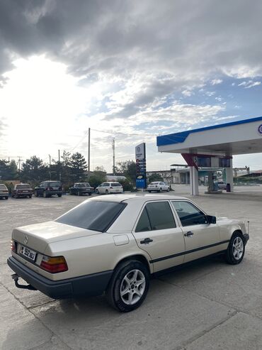 мерседес волчек: Mercedes-Benz 230: 1988 г., 2 л, Механика, Бензин, Седан