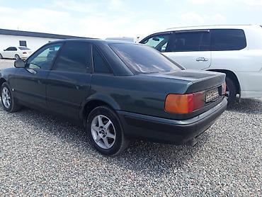 Audi: Audi 100: 1992 г., Седан — 5