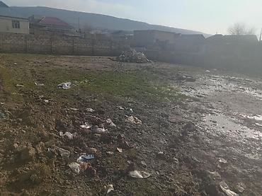 memar ecemi ev alqi satqisi: 8 sot, Tikinti, Mülkiyyətçi, Kupça (Çıxarış), Texniki pasport — 2