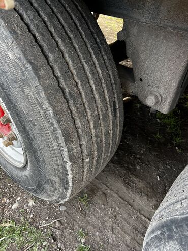 Прицепы и полуприцепы: Прицеп, Schmitz Cargobull, Холодильник, рефрижератор, от 12 т, Б/у — 4