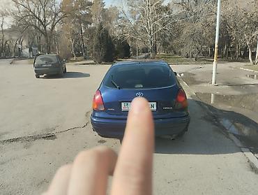 Toyota: Toyota Corolla: 2001 г., 1.4 л, Механика, Бензин, Хэтчбэк — 5