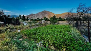 Продажа домов: Дача, 69 м², 5 комнат, Собственник, Старый ремонт — 18