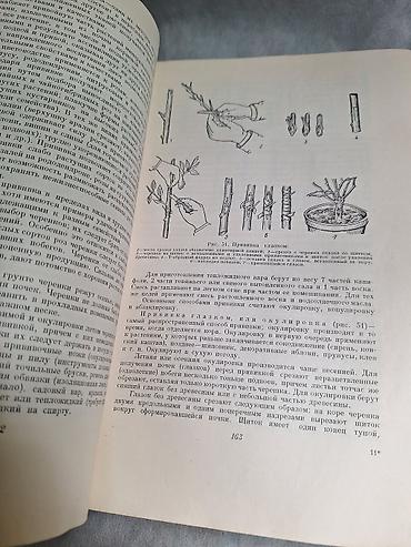 редкие книги: ЦВЕТОВОДСТВО. Антикварная книга Г. Киселев Москва 1952 Тираж 75.000 — 10