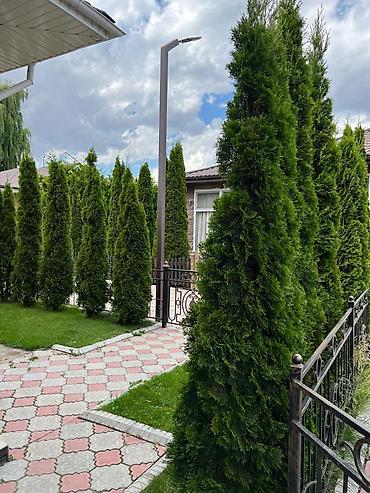 Аренда коттеджей и домов на Иссык-Куле: Коттедж, Royal beach, Чок-Тал, 8 мест — 23