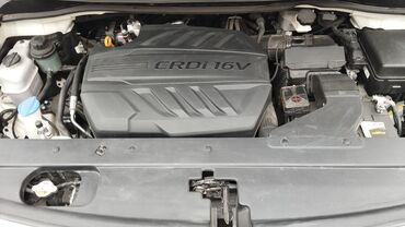 Kia: Kia Carnival: 2019 г., Автомат, Дизель, Минивэн — 13