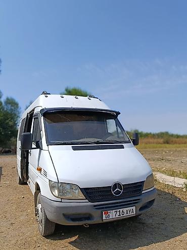 силк вэй: Mercedes-Benz Спринтер: 2004 г., 2.9 л, Механика, Дизель — 1