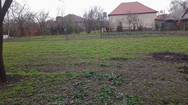 binede torpaq 2020: 8 sot