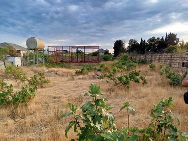 Torpaq sahələrinin satışı: 9 sot, Tikinti, Mülkiyyətçi, Kupça (Çıxarış) -da lalafo.az — 7 Torpaq sahələrinin satışı: 9 sot, Tikinti, Mülkiyyətçi, Kupça (Çıxarış) — 7