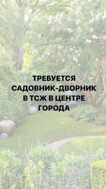 я ищу работу город ош: Требуется садовник-дворник в ТСЖ в центре города. Звонить по номеру