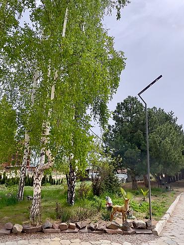 для сдачи: 2 комнаты, 32 м², Элитка, 3 этаж, Евроремонт — 10