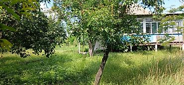 Bağ evlərinin satışı: Göyçay, 100 kv. m, 2 otaqlı, Hovuzsuz — 4