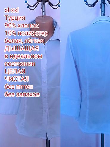 Блузки: Блузка, Вечерняя, Шифон, Однотонный, Прозрачная модель, С воланами, С жабо — 27