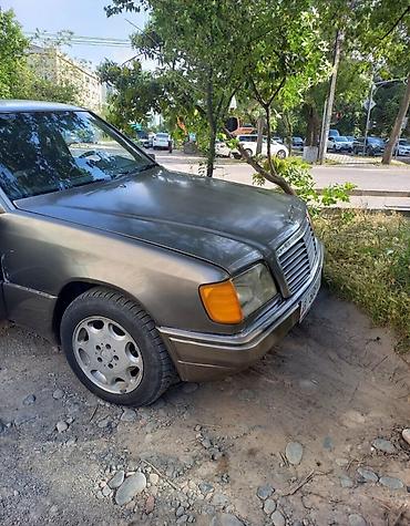 eafc 25: Mercedes-Benz E-Class: 1994 г., 2.2 л, Автомат, Бензин, Седан — 9