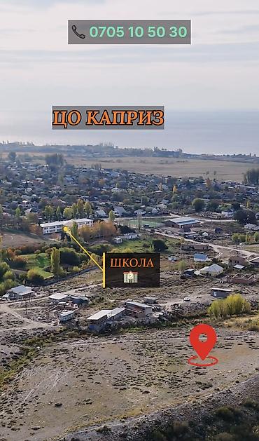 куры для гриля: 8 соток, Для бизнеса, Красная книга, Договор купли-продажи — 3