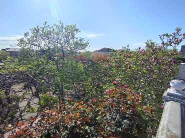 Həyət evləri və villaların satışı: Sabunçu rayonu Maştağa qəsəbəsi ərazisində Zabrat Maştağa yolunun -da lalafo.az — 28 Həyət evləri və villaların satışı: Sabunçu rayonu Maştağa qəsəbəsi ərazisində Zabrat Maştağa yolunun — 28