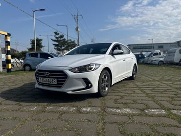 car hyundai: Hyundai Avante: 2019 г., 1.6 л, Автомат, Бензин, Седан