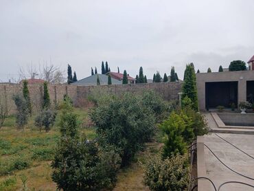 недвижимость в азербайджане: 5 sot, Tikinti, Maklerlər narahat etməsin, Kupça (Çıxarış)