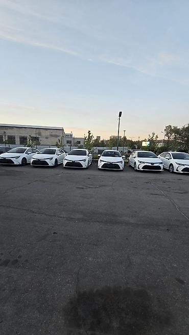 левин: Toyota Corolla: 2023 г., 1.8 л, Вариатор, Гибрид, Седан — 1