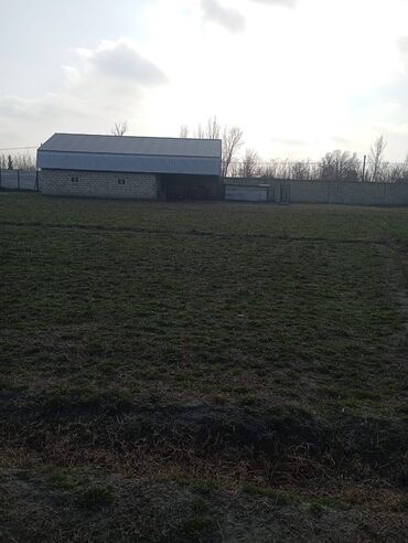 Anbar və emalatxanalar: 160mine Agdasda bu satisa cixarilib Evin hərşeyi var 35metr navesi — 7