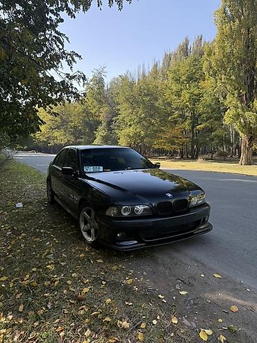 BMW: BMW 5 series: 2002 г., 3 л, Механика, Бензин, Седан — 3