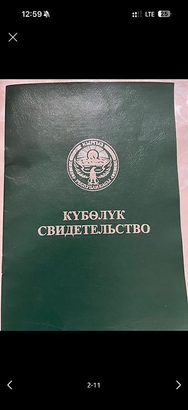 Кыймылсыз мүлк: 15 соток, Бизнес үчүн, Кызыл китеп — 2