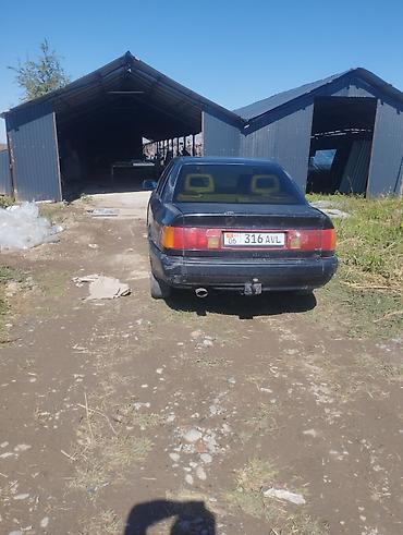 Audi: Audi 100: 1992 г., Седан — 1
